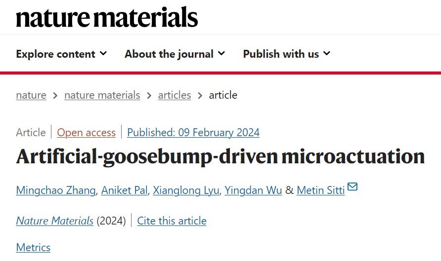 受“鸡皮疙瘩”的启发,中国青年学者发了Nature Materials!