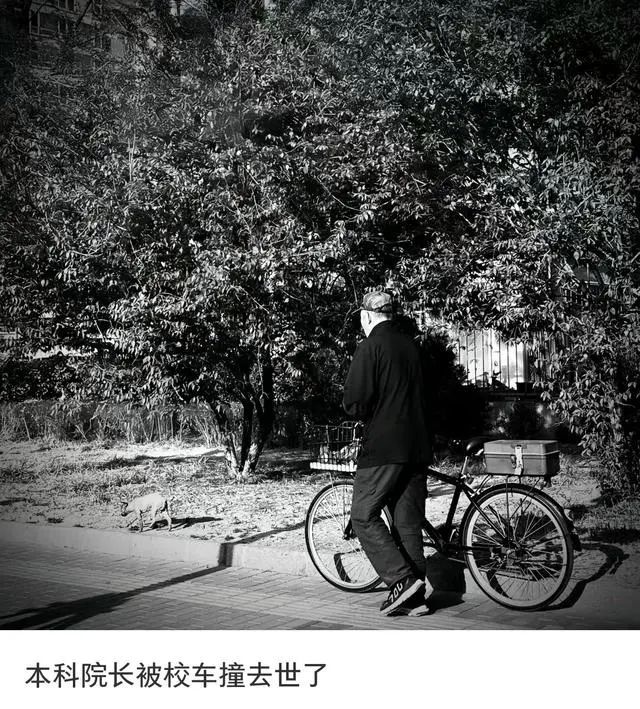 一高校院长校内遇车祸去世,享年53岁