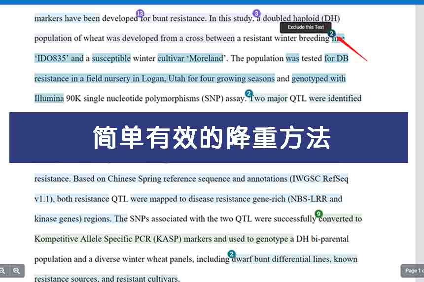 简单有效的降重方法